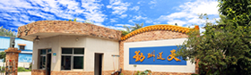 公司簡(jiǎn)介